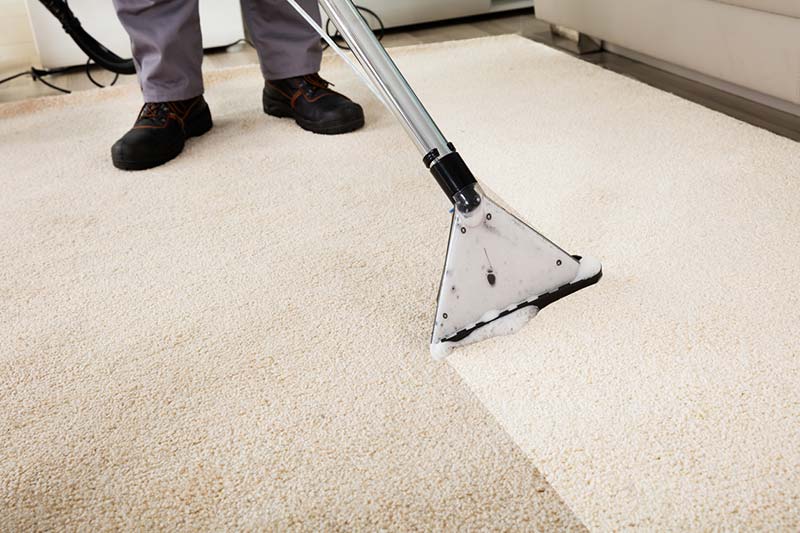 Pro 1 Solutions Carpet Cleaning