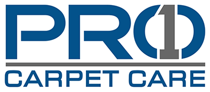 Pro 1 Carpet Care Solutions